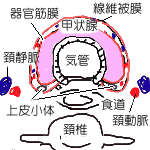 �b��B���ォ�猩���摜