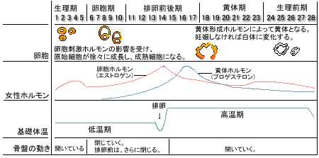 ��b�̉���5�̎���